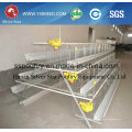 Poultry Automatic Egg Chicken Cages